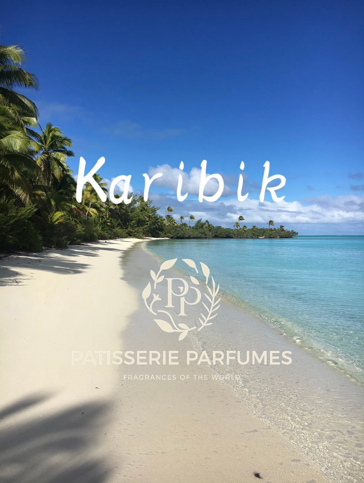 Titelschrift Karibik im Zentrum, darunter das Firmenlogo mit Firmenslogan. Im Hintergrund Lagune mit Sandstrand und Palmen
