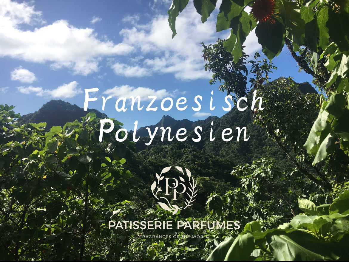 Titelschrift Französisch Polynesien mittig, darunter Firmen Logo mit Firmen Slogan. Im Hintergrund Tropische Südseevegetation